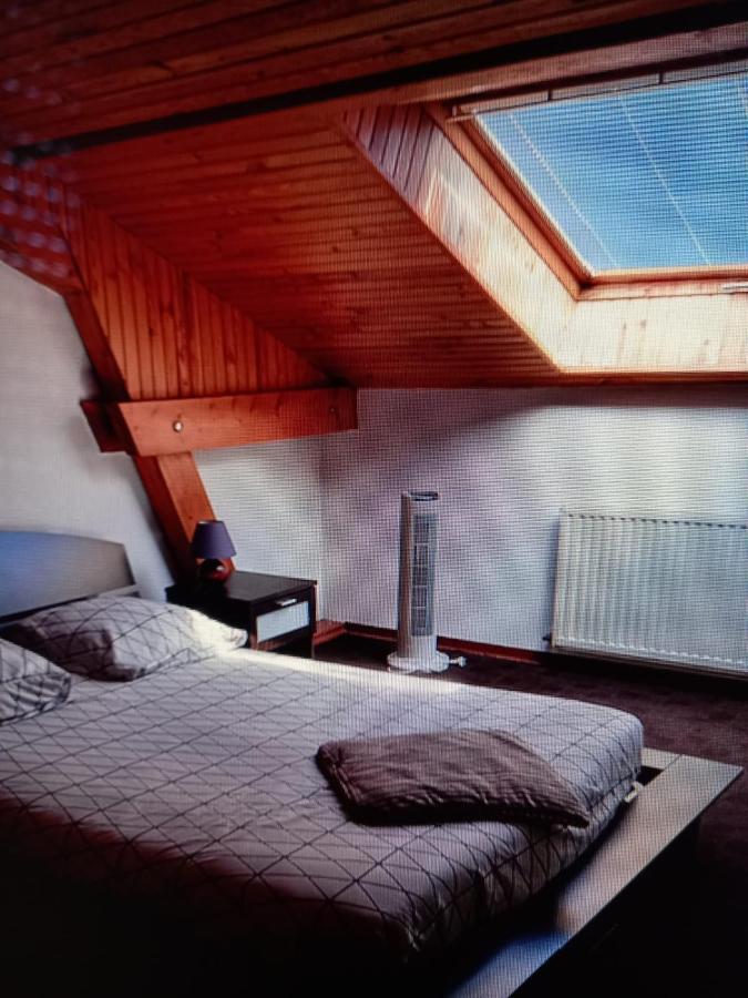 Les Appartements Du Lion De Belfort Exterior photo