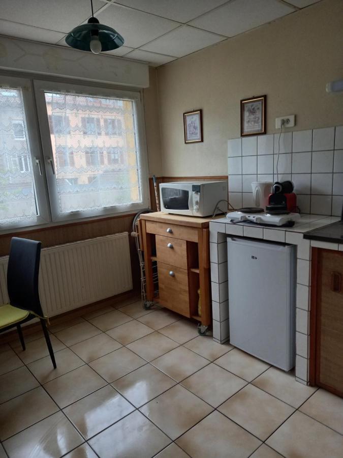 Les Appartements Du Lion De Belfort Exterior photo