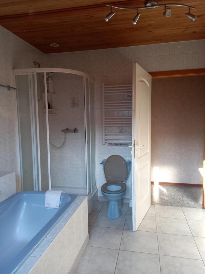 Les Appartements Du Lion De Belfort Exterior photo